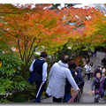 日本鎌倉長谷寺