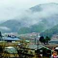 西粟倉村(林業村)