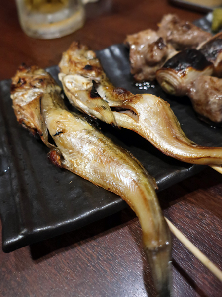 日本叉牙魚