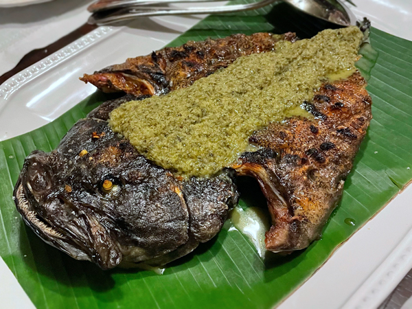 Grouper with Saranare Sauce