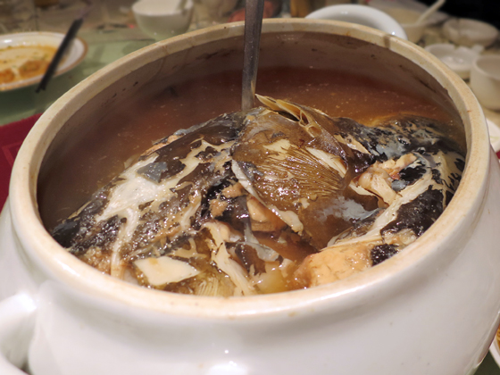 天麻燉魚頭湯