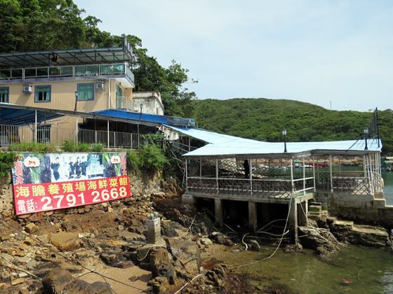 海膽養殖場