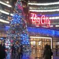 新竹市巨城聖誕樹
