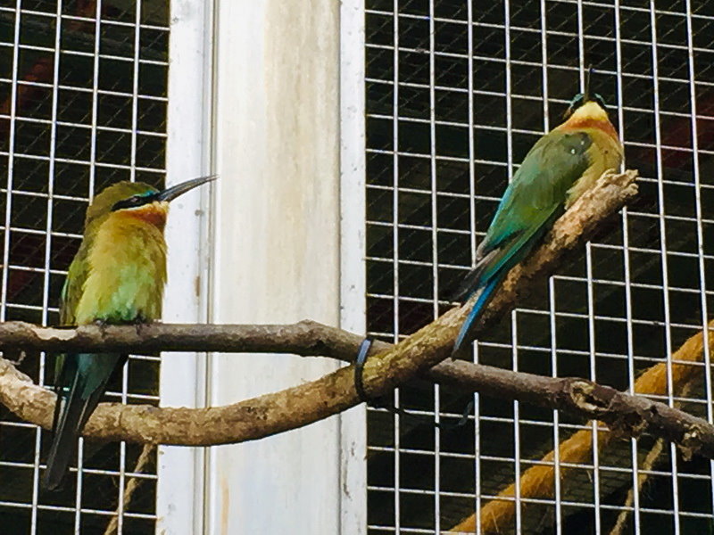 玉寶貝臺北動物園遊 黃金級綠建築 穿山甲館 Udn推薦聯合新聞網首頁 Shine的幽美幻境 Udn部落格