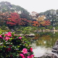 大濠公園日本庭園