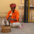 印度捷布(Jaipur)~吹蛇人