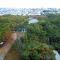 名古屋城的天守閣眺望3
