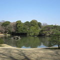 東京六藝園~臥龍石