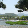 京都嵐山~桂川5