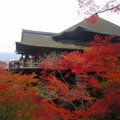 秋遊京都清水寺