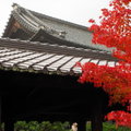 秋遊京都東福寺