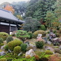 秋遊京都東福寺