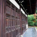 秋遊京都東福寺