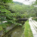 京都哲學之道~超美麗的散步道路 