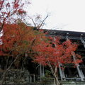 秋遊京都清水寺