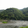 漫遊嵐山