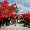 秋遊京都永觀堂