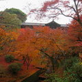 秋遊京都東福寺