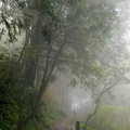 太平山見晴步道