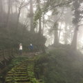 太平山見晴步道