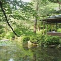 京都平安神宮~庭園8