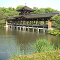 京都平安神宮~神苑的迴廊2