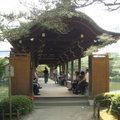 京都平安神宮~神苑的迴廊1