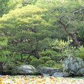 京都平安神宮~庭園6