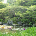 京都平安神宮~庭園5