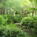 京都平安神宮~庭園2