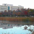 漢陽大學秋景 17