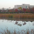 漢陽大學秋景 14