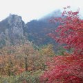 韓國雪嶽山~滿山的美麗楓紅