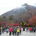 韓國雪嶽山楓紅22