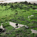 觀音亭的翠綠海域