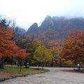 韓國雪嶽山國立公園(1)19