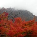 韓國雪嶽山國立公園(1)18