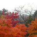 韓國雪嶽山國立公園(1)17