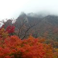 韓國雪嶽山國立公園(1)16