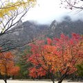 韓國雪嶽山楓紅15