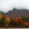 韓國雪嶽山國立公園~處處夢幻楓紅 