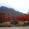 韓國雪嶽山國立公園(1)10