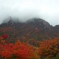 韓國雪嶽山楓紅11