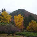 韓國雪嶽山國立公園(1)9