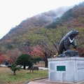 韓國雪嶽山國立公園(1)5