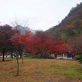 韓國雪嶽山國立公園(1)4