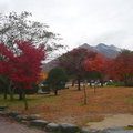 韓國雪嶽山國立公園(1)3