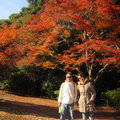 嵐山龜山公園2