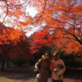 嵐山龜山公園3