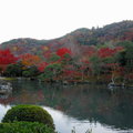 秋遊嵐山天龍寺